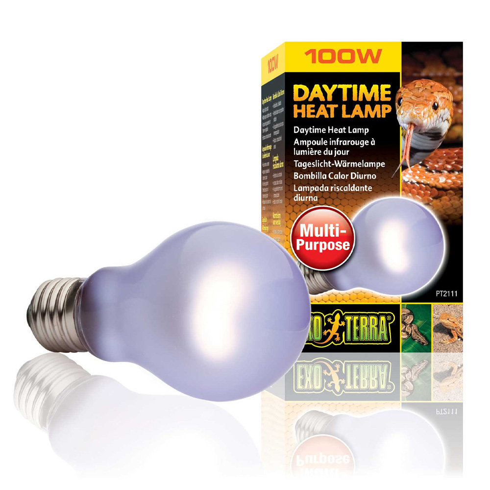Exo Terra Żarówka Grzewcza 60W Daytime Heat gwint E27